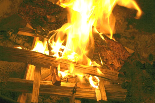What's the Best Wood to Burn in a Campfire
